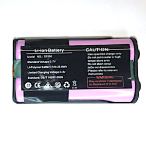 Batterie pour télécommande GPS eSEEK
