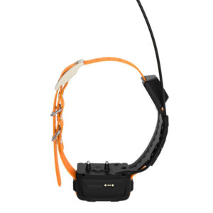 Collier GPS Eseek pour chien de chasse