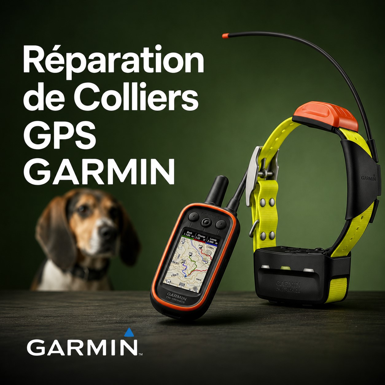Réparation Collier de chasse GPS